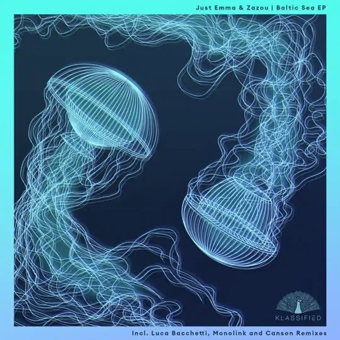 Baltic Sea (Monolink Remix) cover