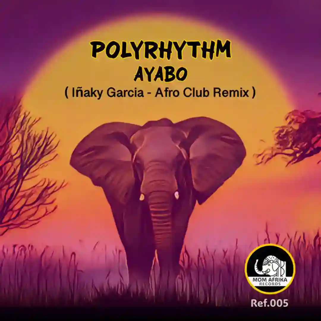 Ayabo ( Iñaky Garcia - Afro Club Remix ) cover