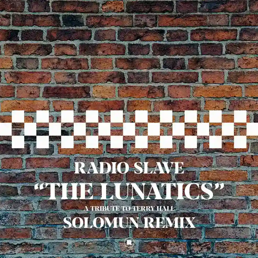 The Lunatics (Solomun Remix) cover