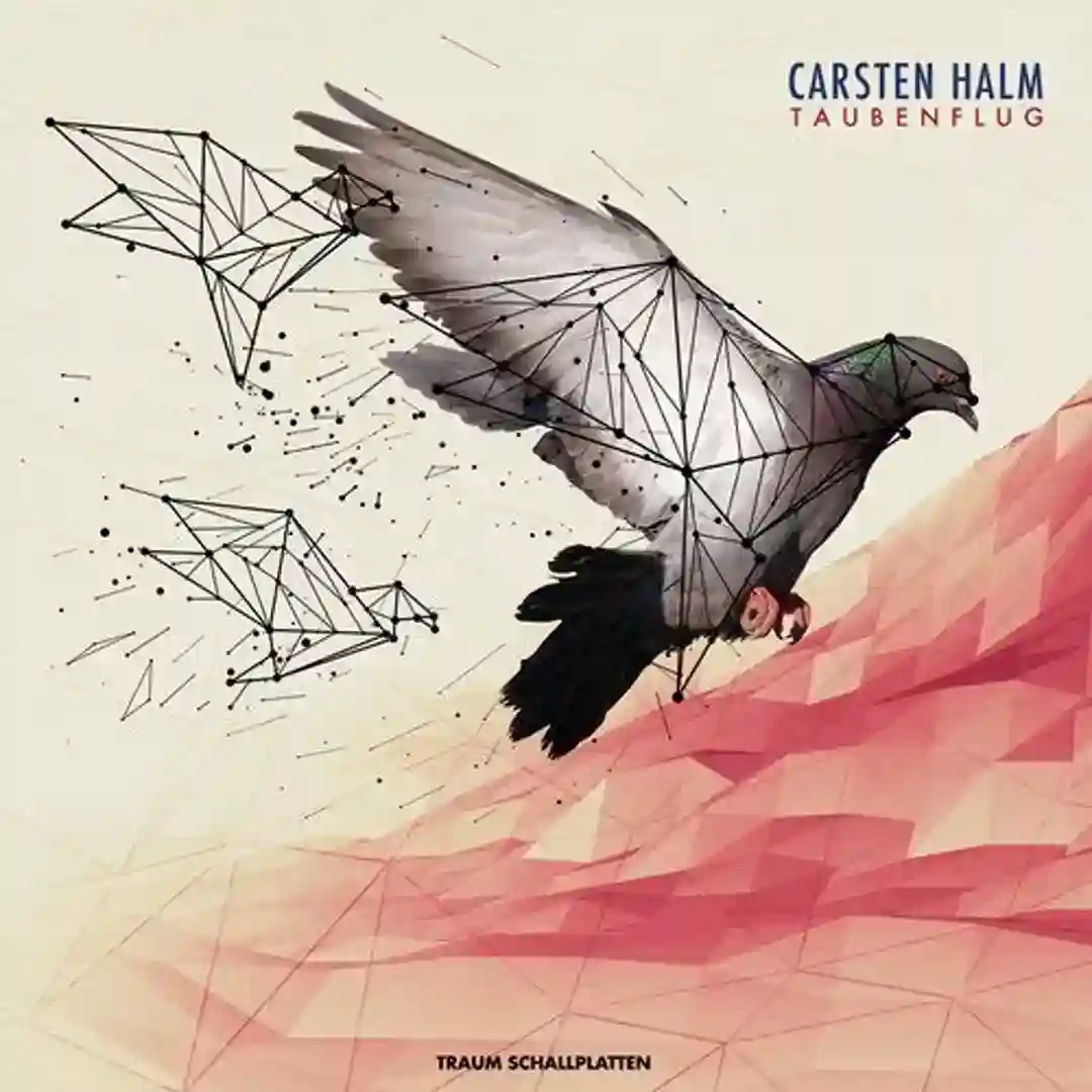 Taubenflug cover