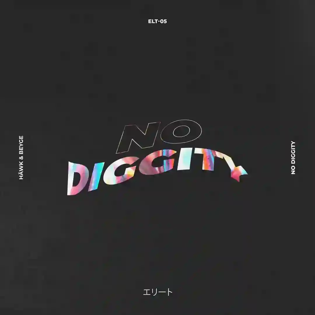 No Diggity (Extended Mix) cover