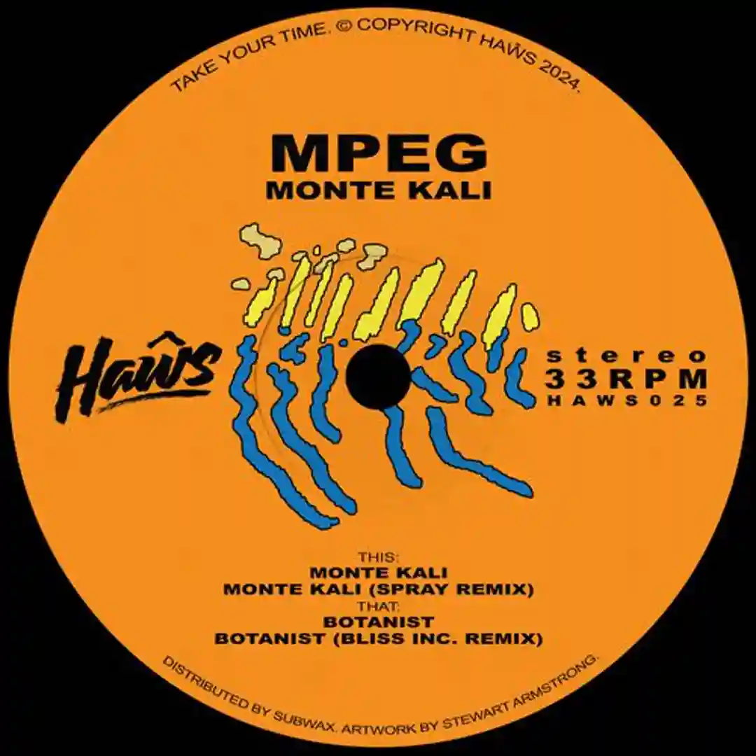 Monte Kali (Spray Remix) cover