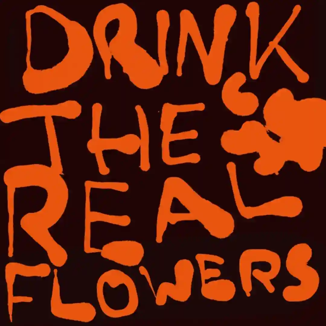 Drink The Real Flowers (Radio Edit) cover
