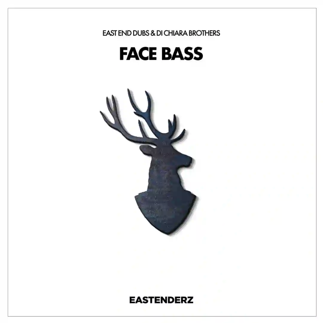 Face Bass (Original Mix) cover