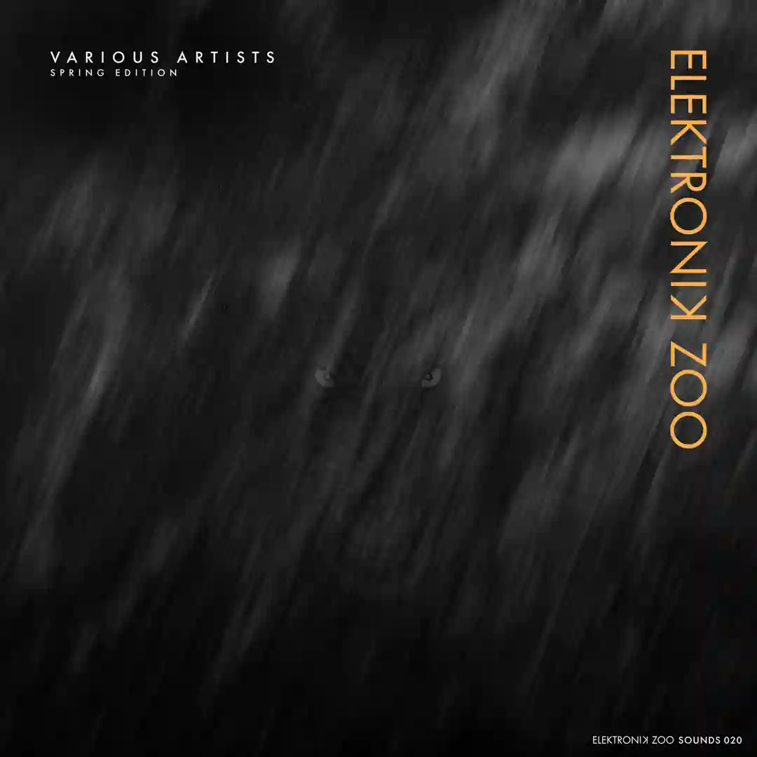 Electric Fauna (Original Mix) cover