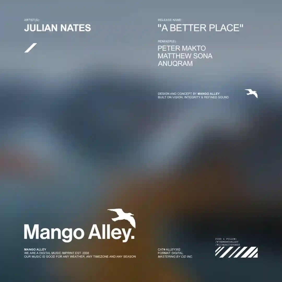 A Better Place (Peter Makto & Matthew Sona Remix) cover