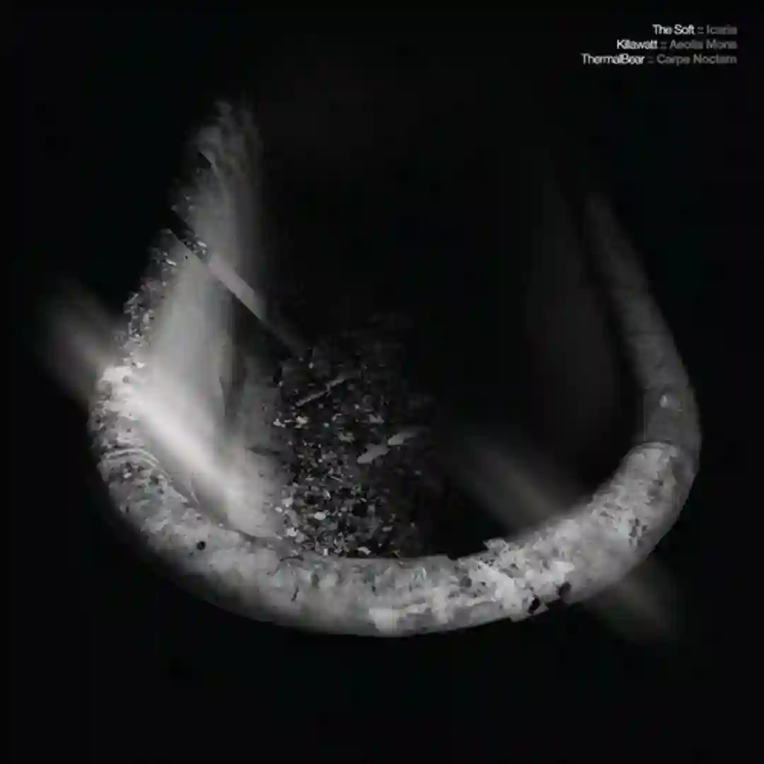 Carpe Noctem cover