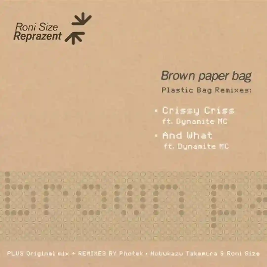 Brown Paper Bag (Roni Size Extended Mix) cover