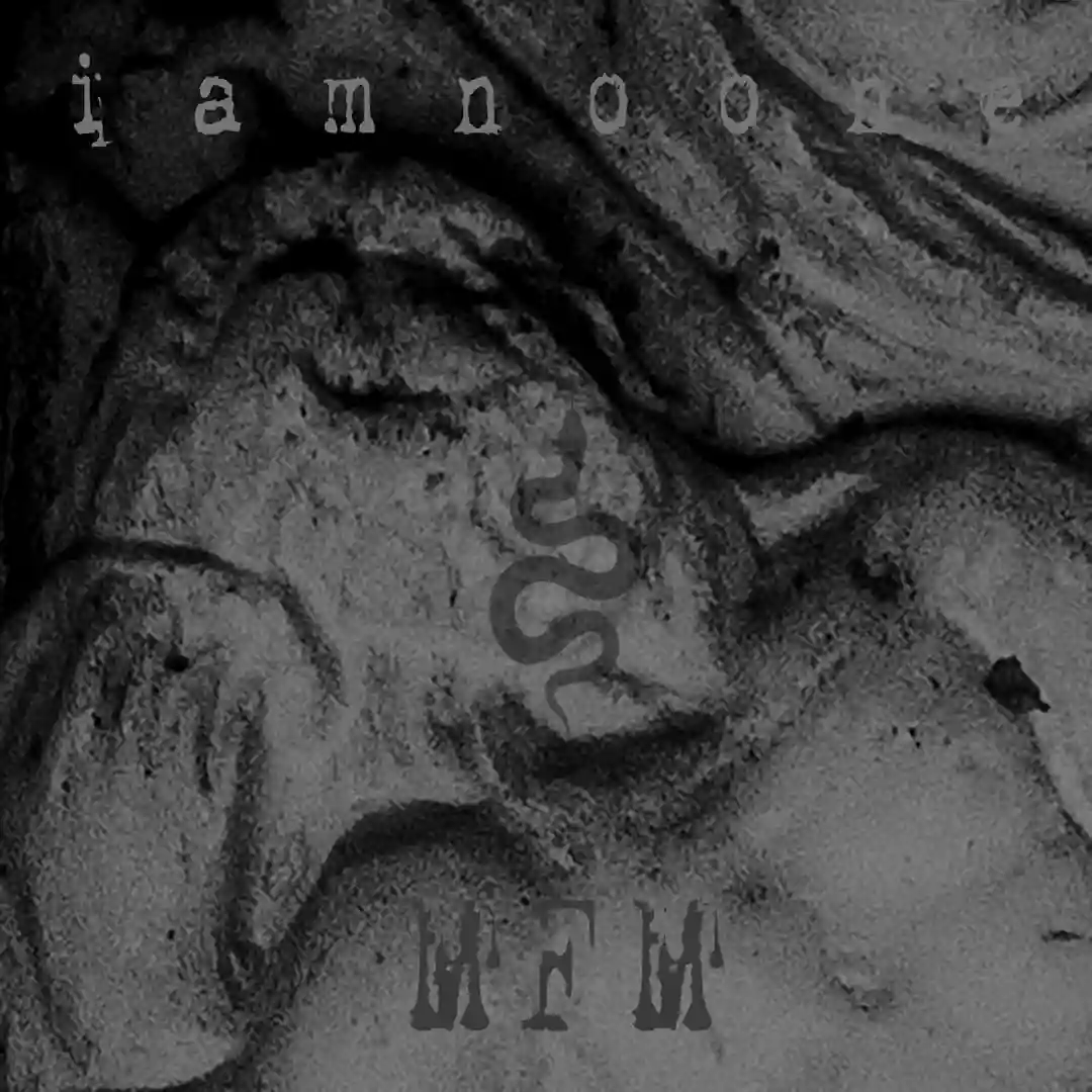 MFM (Original Mix) cover
