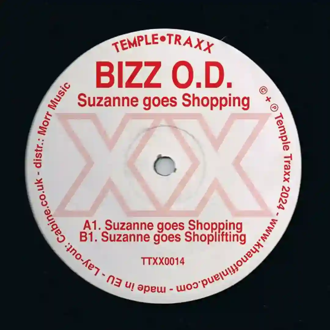 Suzanne Goes Shopping cover