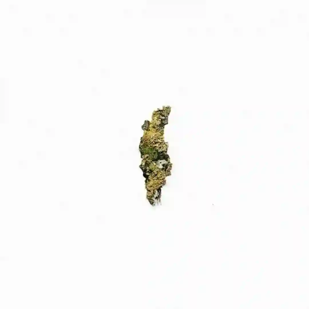 VerityAcid (Original Mix) cover