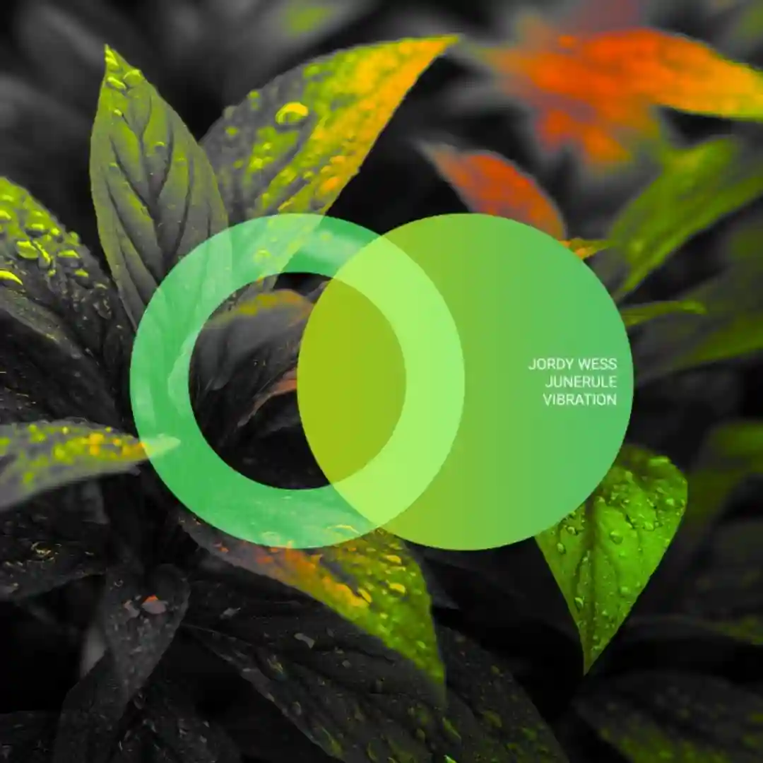 Vibration cover