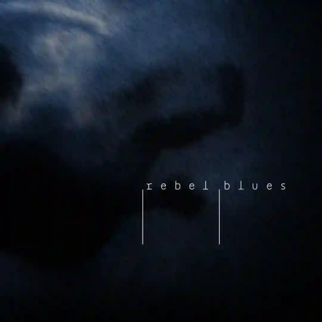Polite Paranoia cover