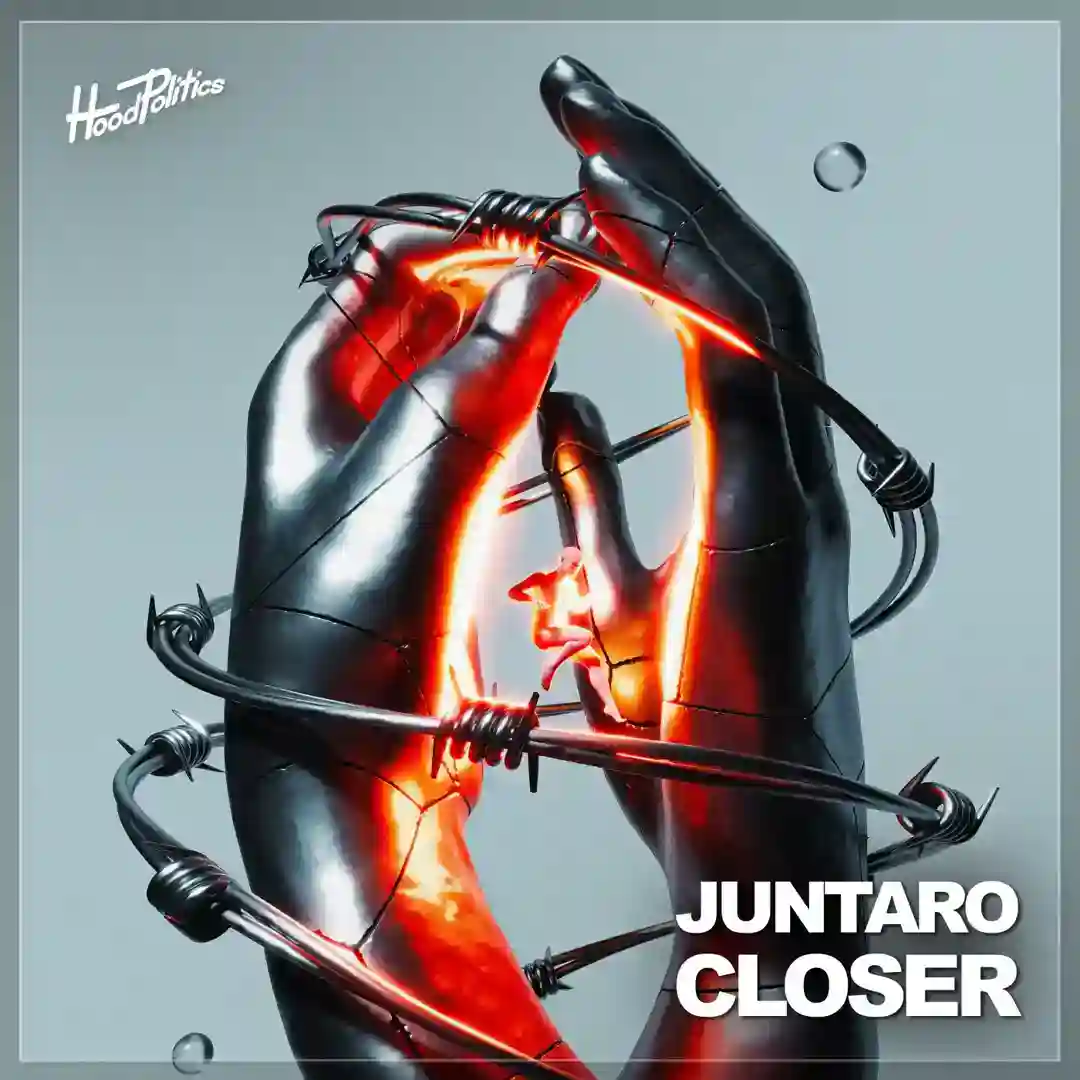 Closer cover
