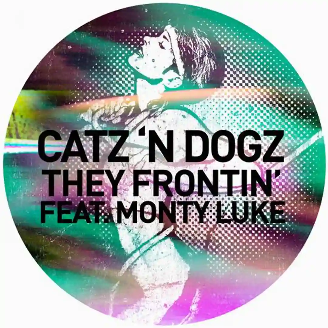 They Frontin' cover