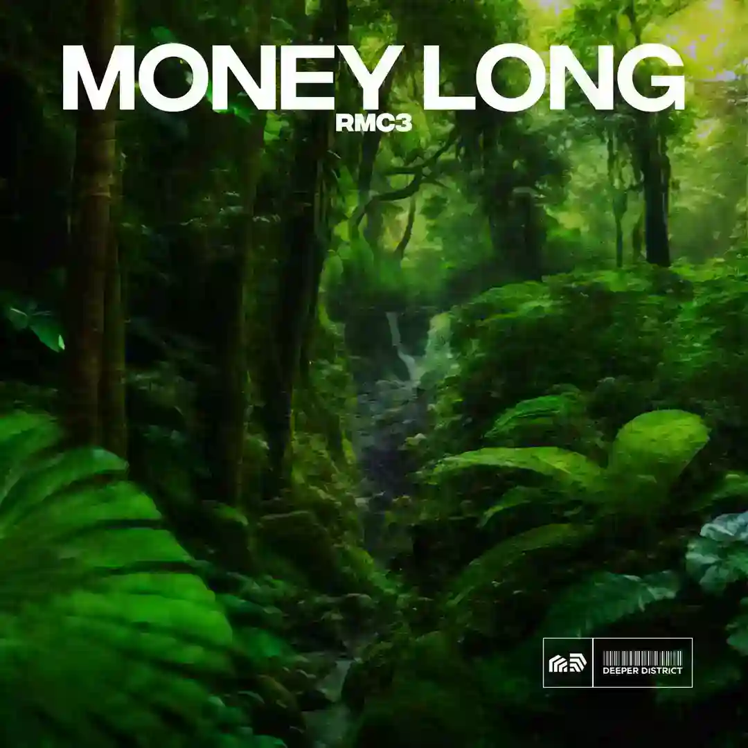 Money Long (Extended Mix) cover
