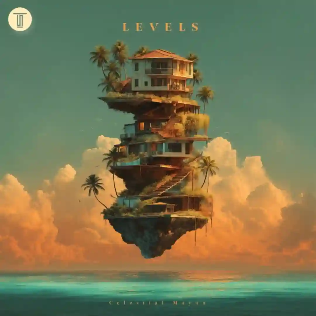 Levels (Afro Mix) cover