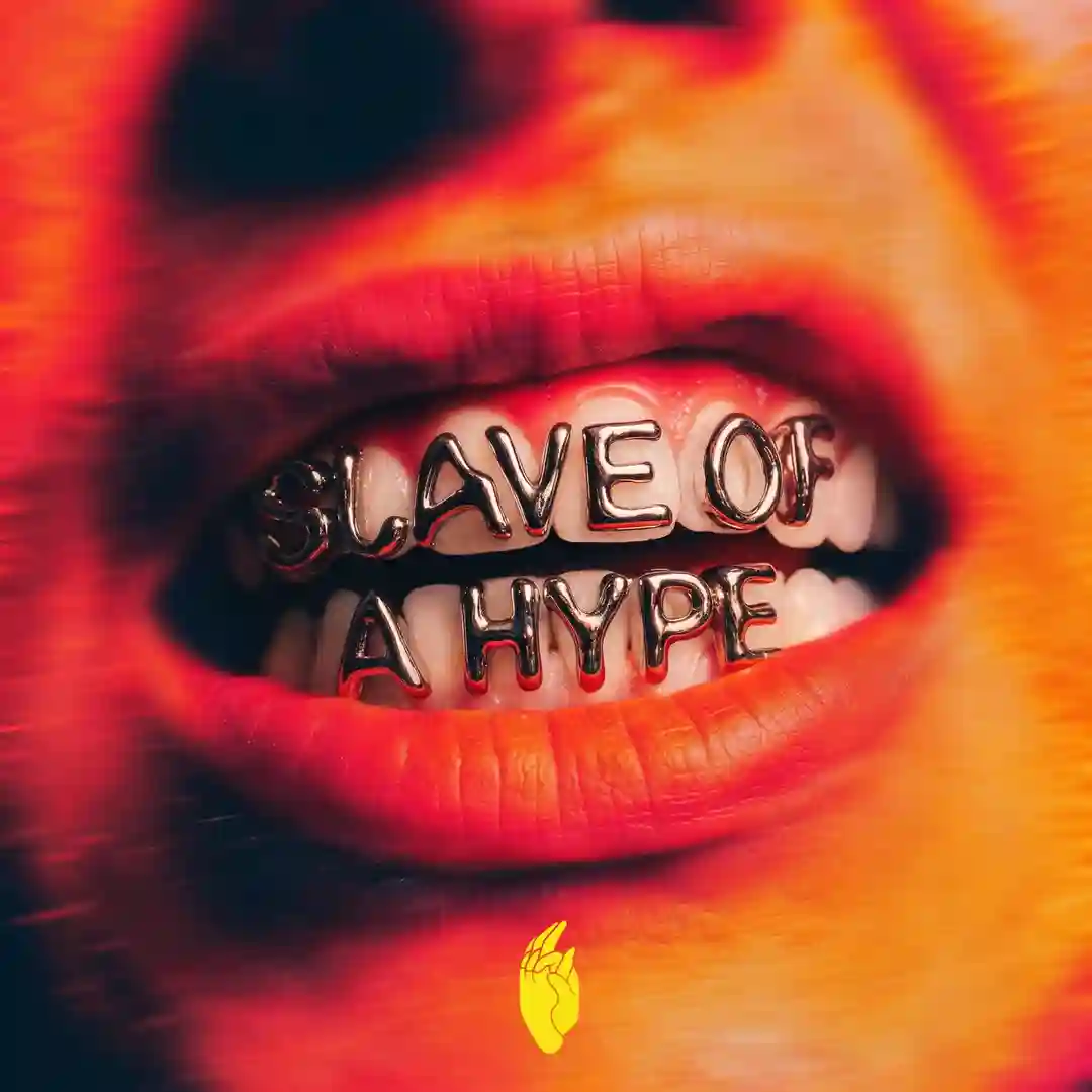 Slave to the Hype (Original Mix) cover