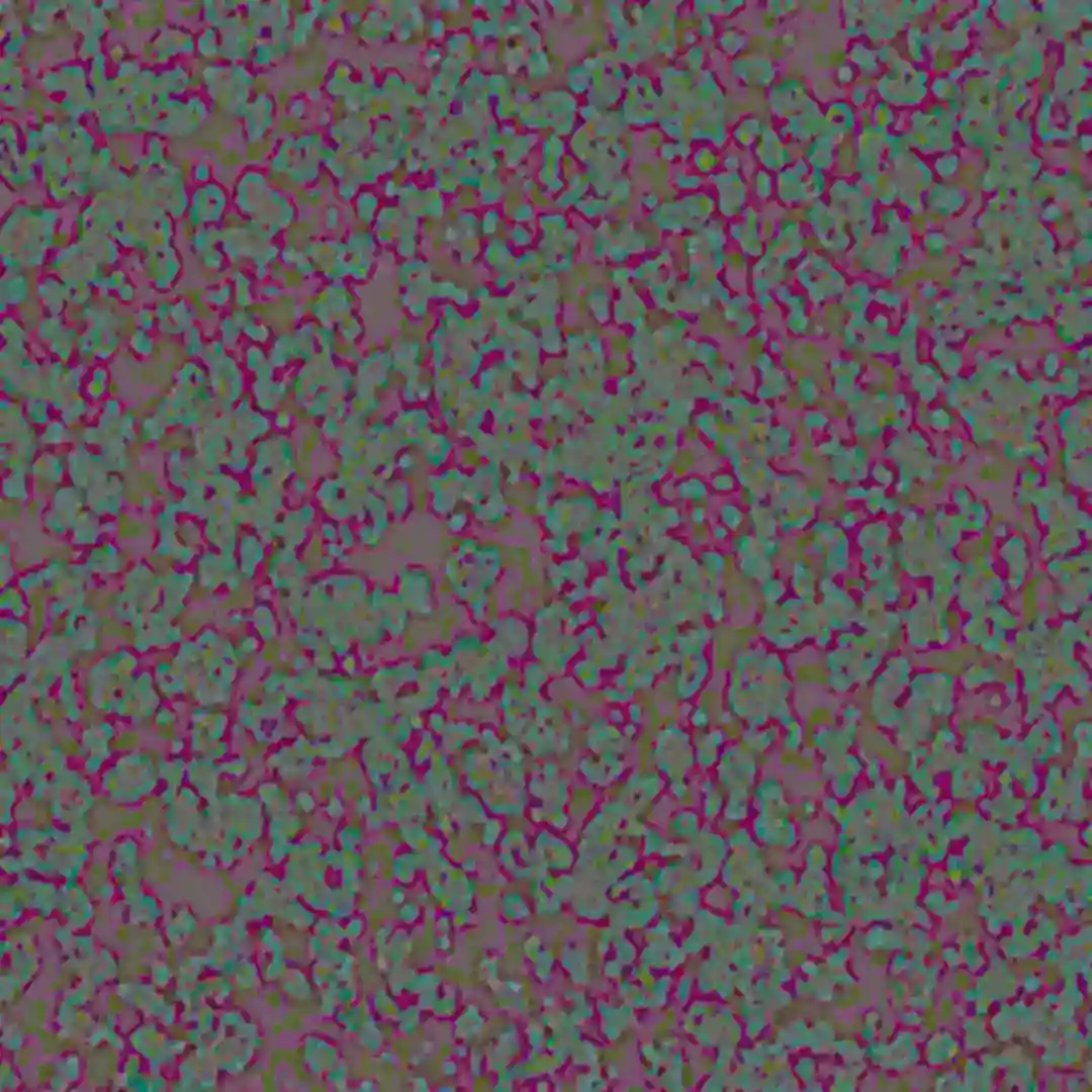 Floating Point (2015 Remaster) cover