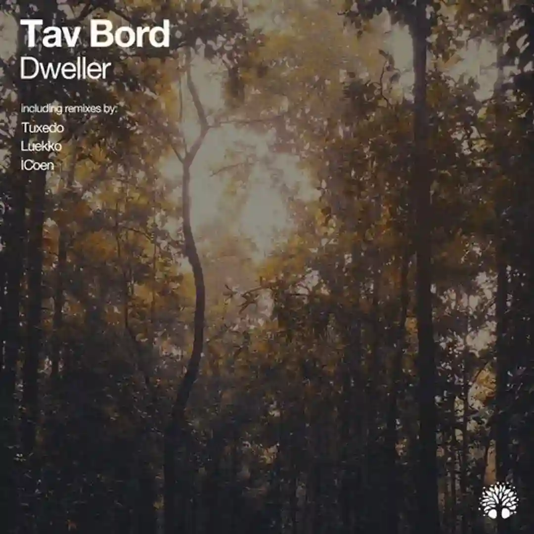 Dweller (Tuxedo Remix) cover