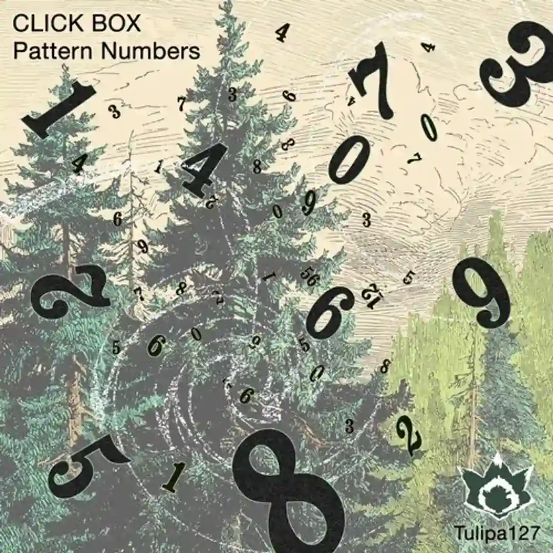 Pattern Numbers cover