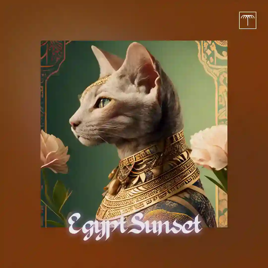 Nile cover