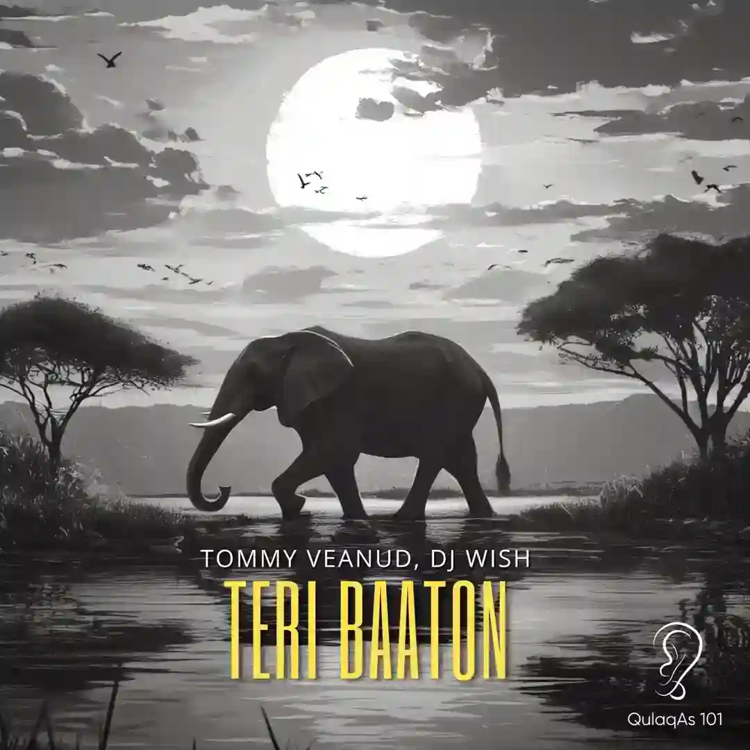 Teri Baaton (Instrumental Version) cover