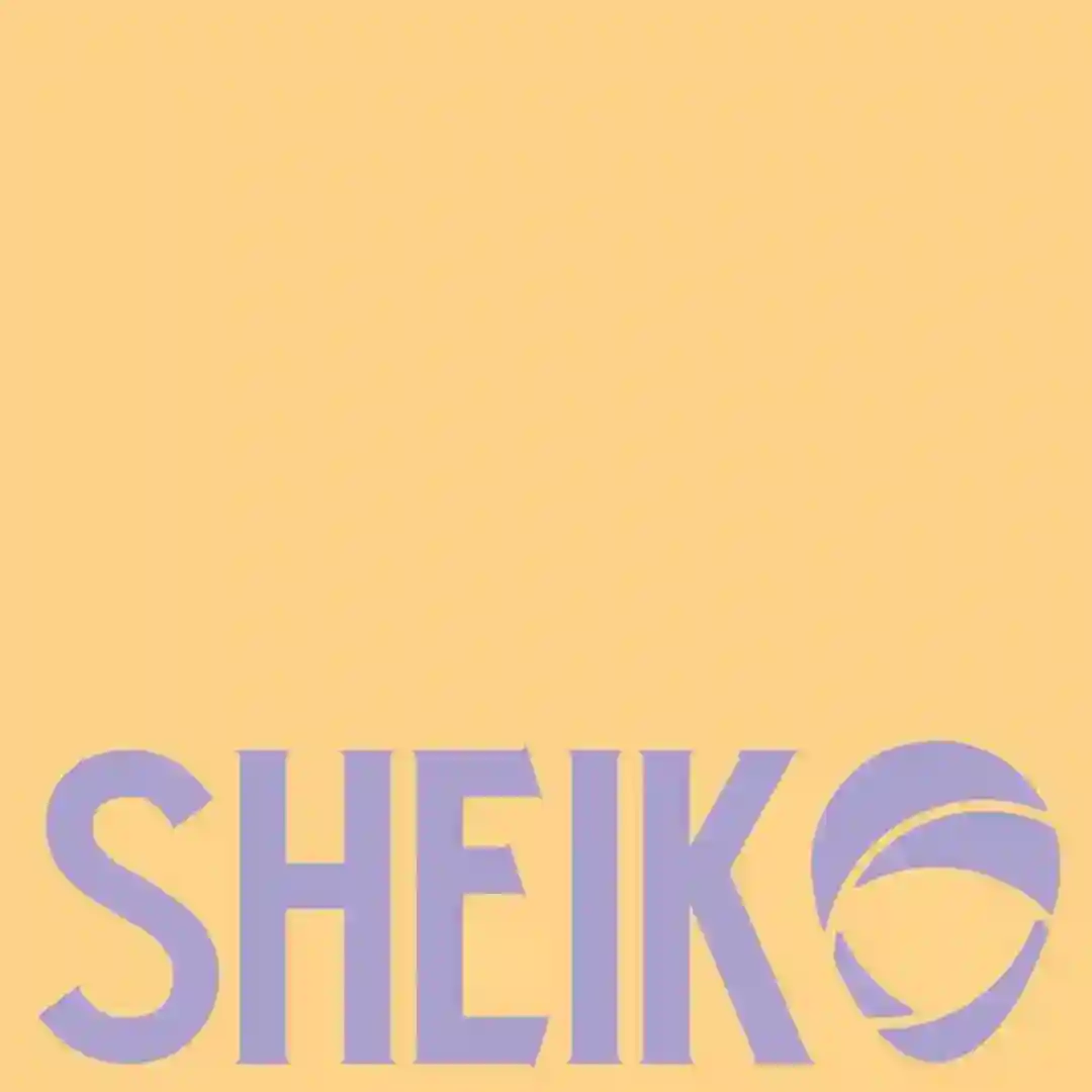 Sheik (Extended Mix) cover