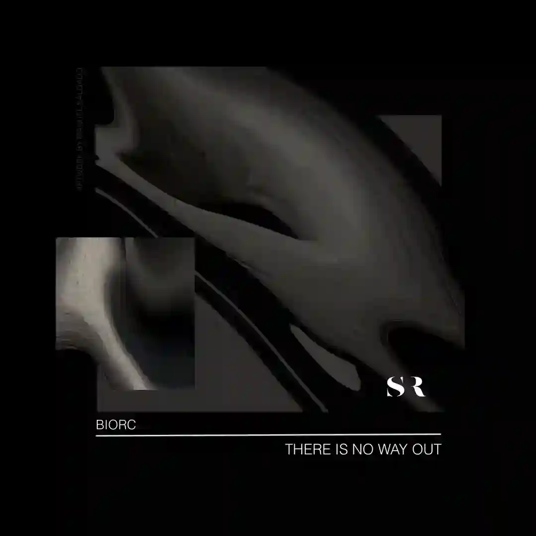 No Evasion (Original Mix) cover