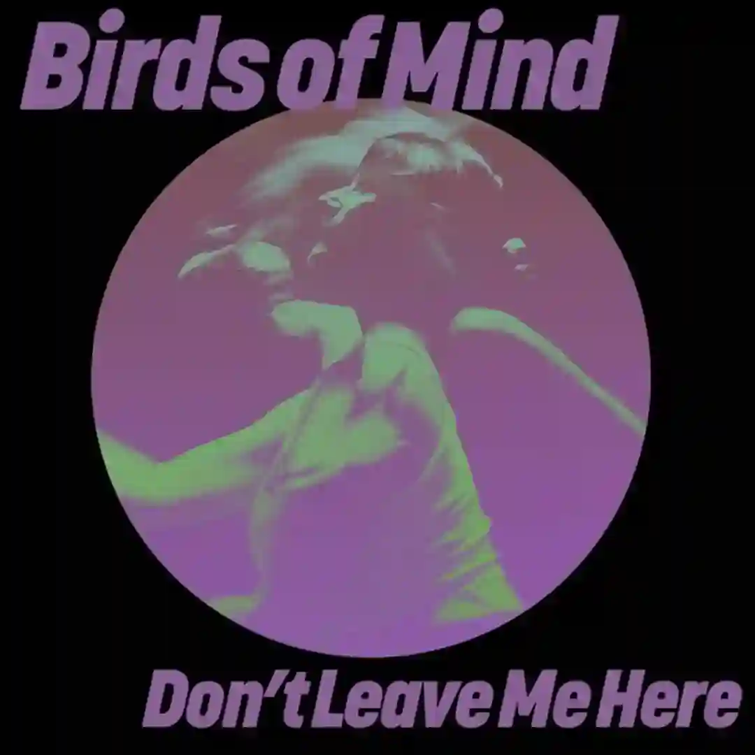 Don't Leave Me Here (Original Mix) cover