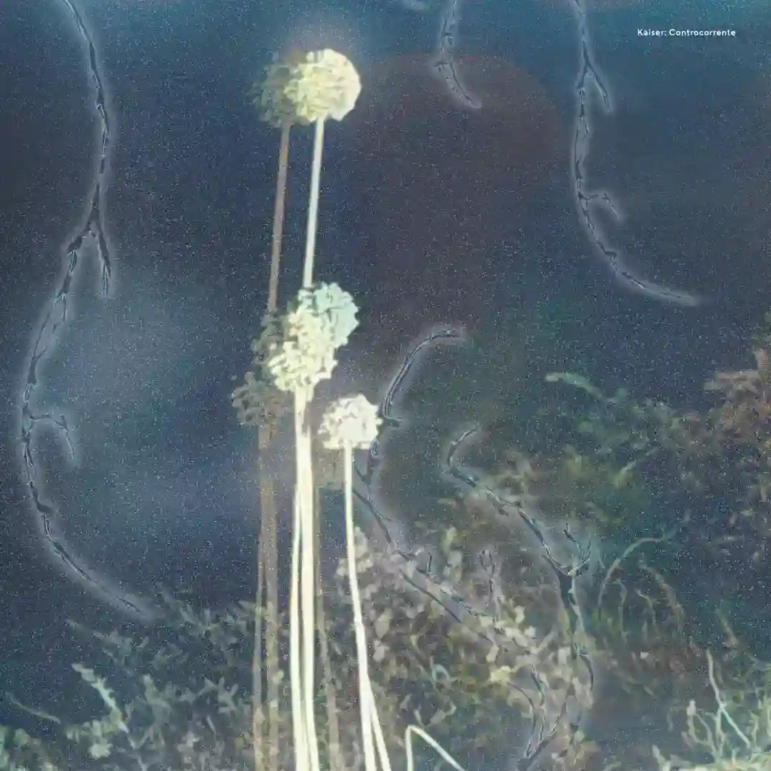 Sopravvissuti (Original Mix) cover