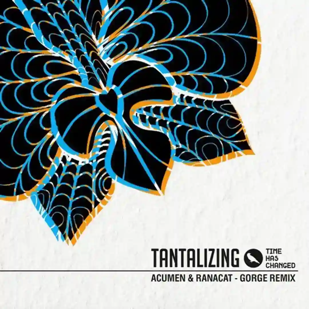 Tantalizing (Original Mix) cover