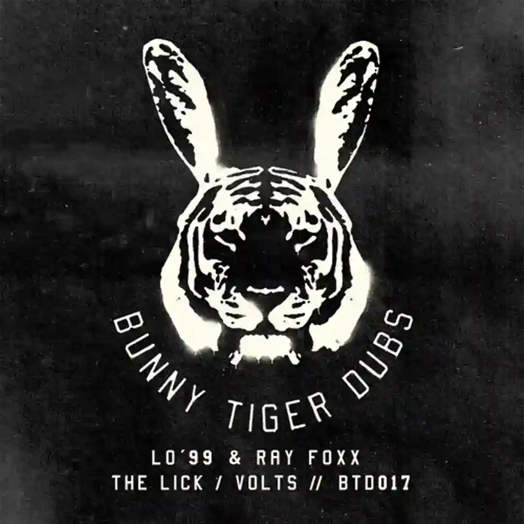 The Lick (Original Mix) cover
