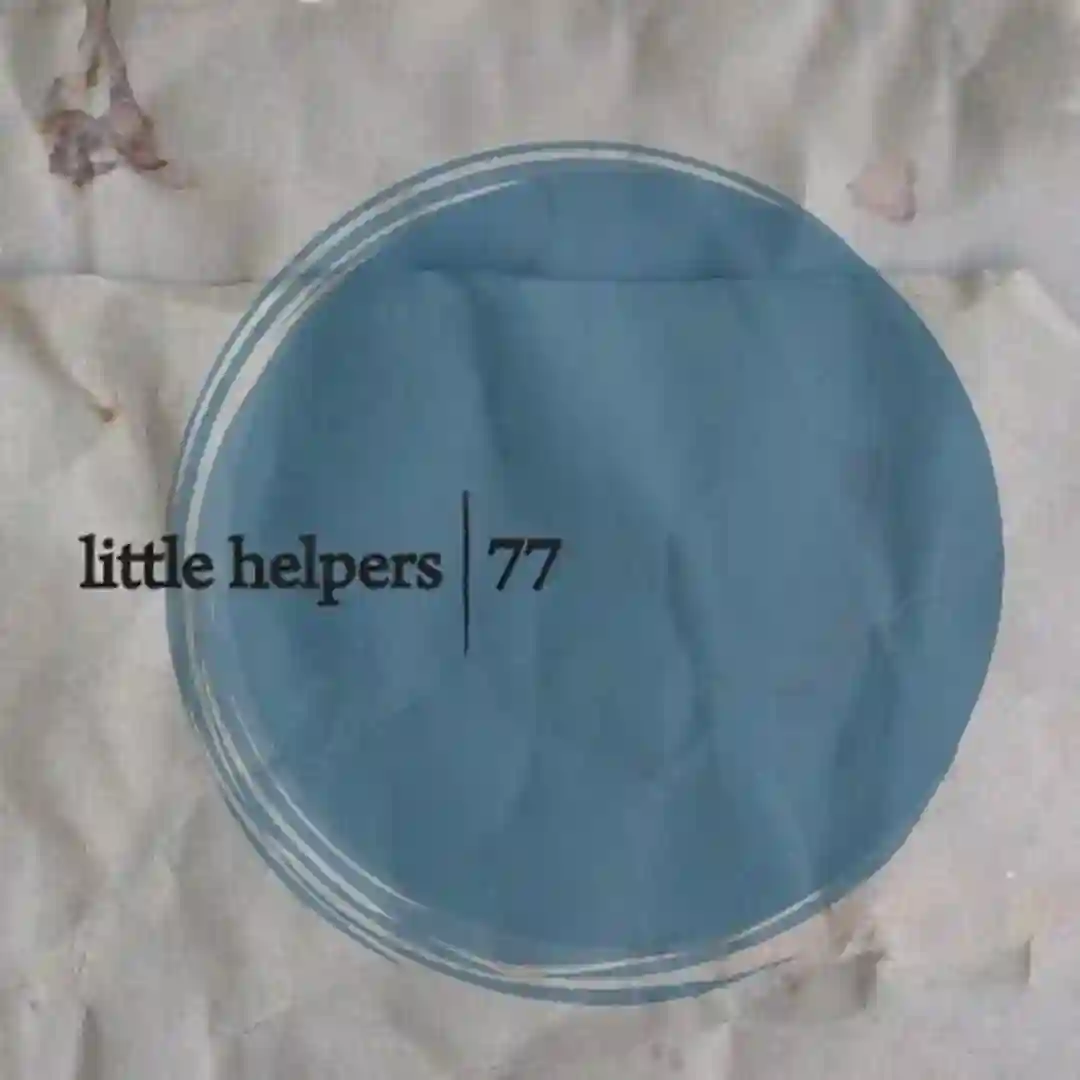 Little Helpers 77 cover