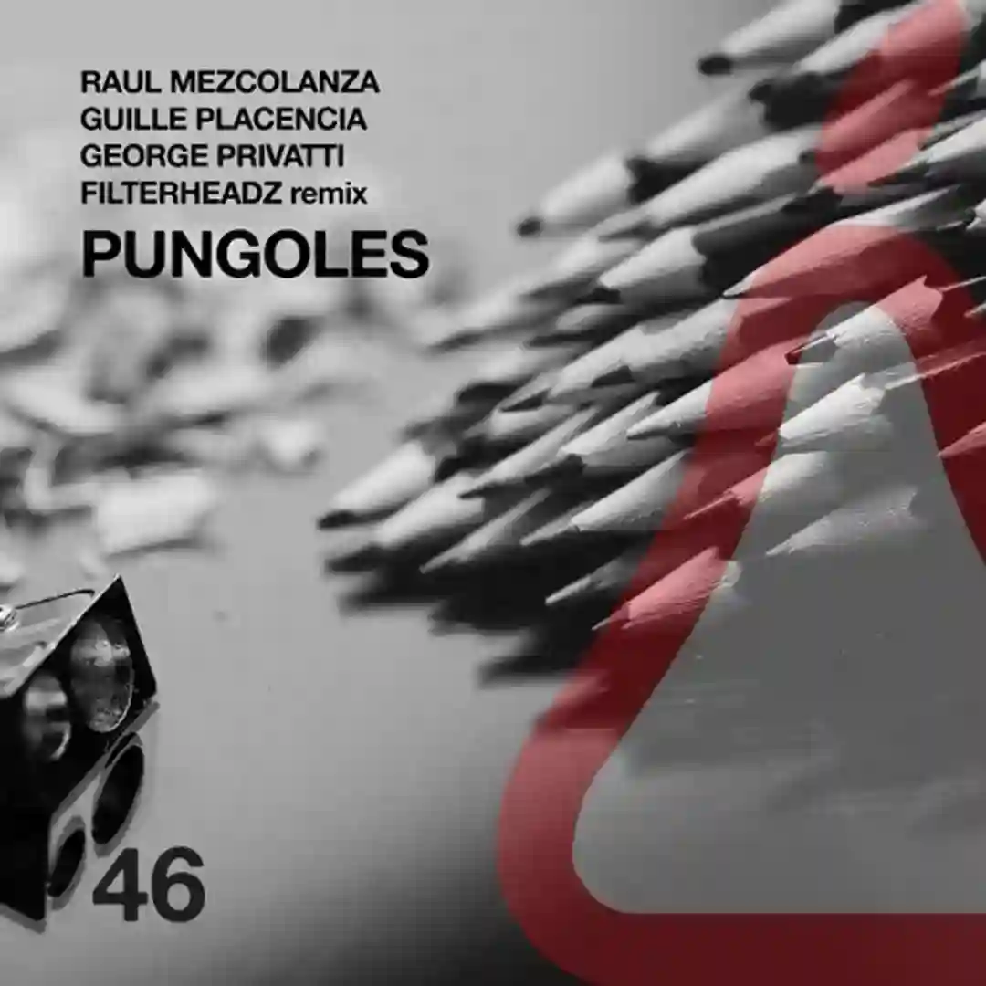 Pungoles (Original Mix) cover