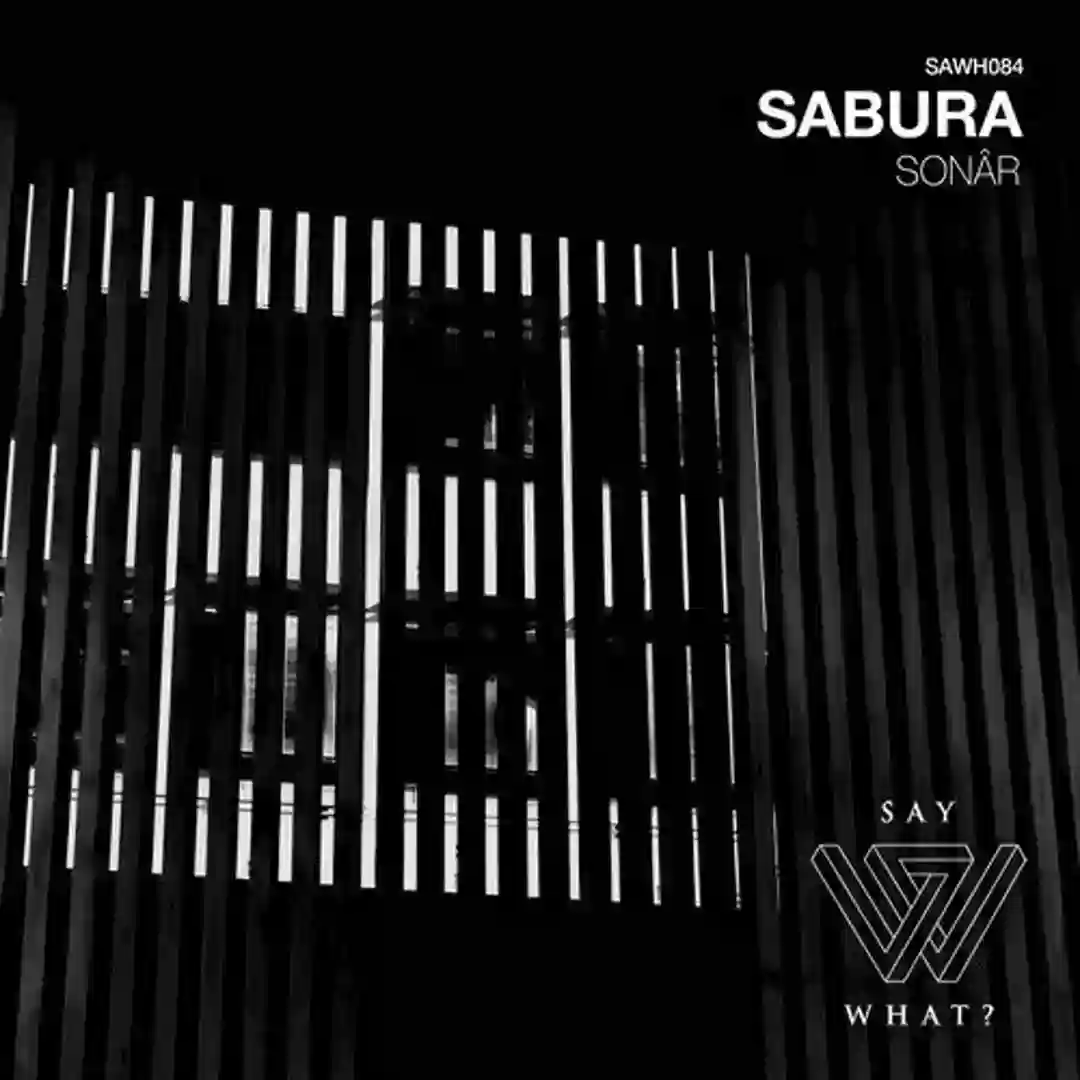 Sonar (Teenage Mutants Remix) cover