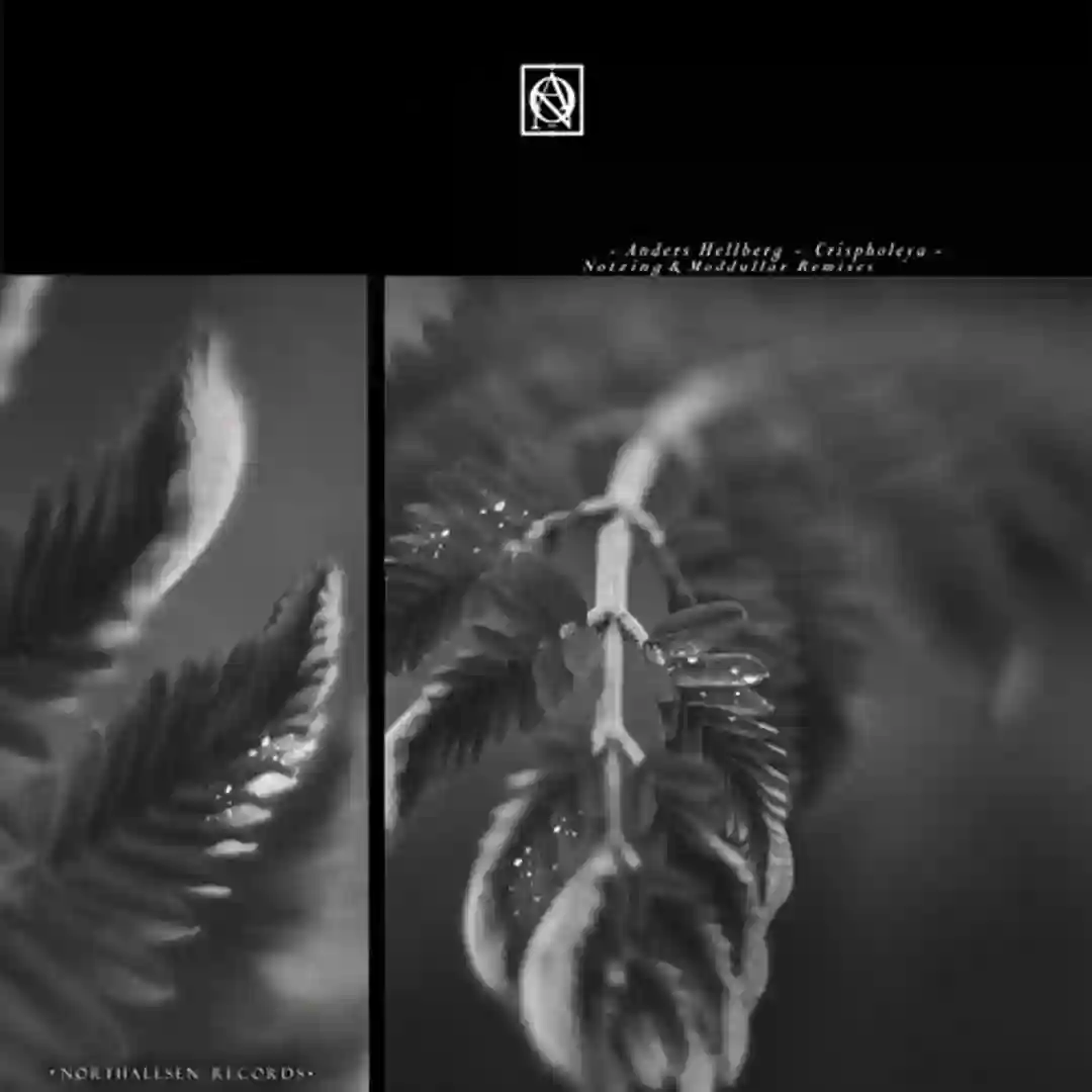 New Dawn (Original Mix) cover