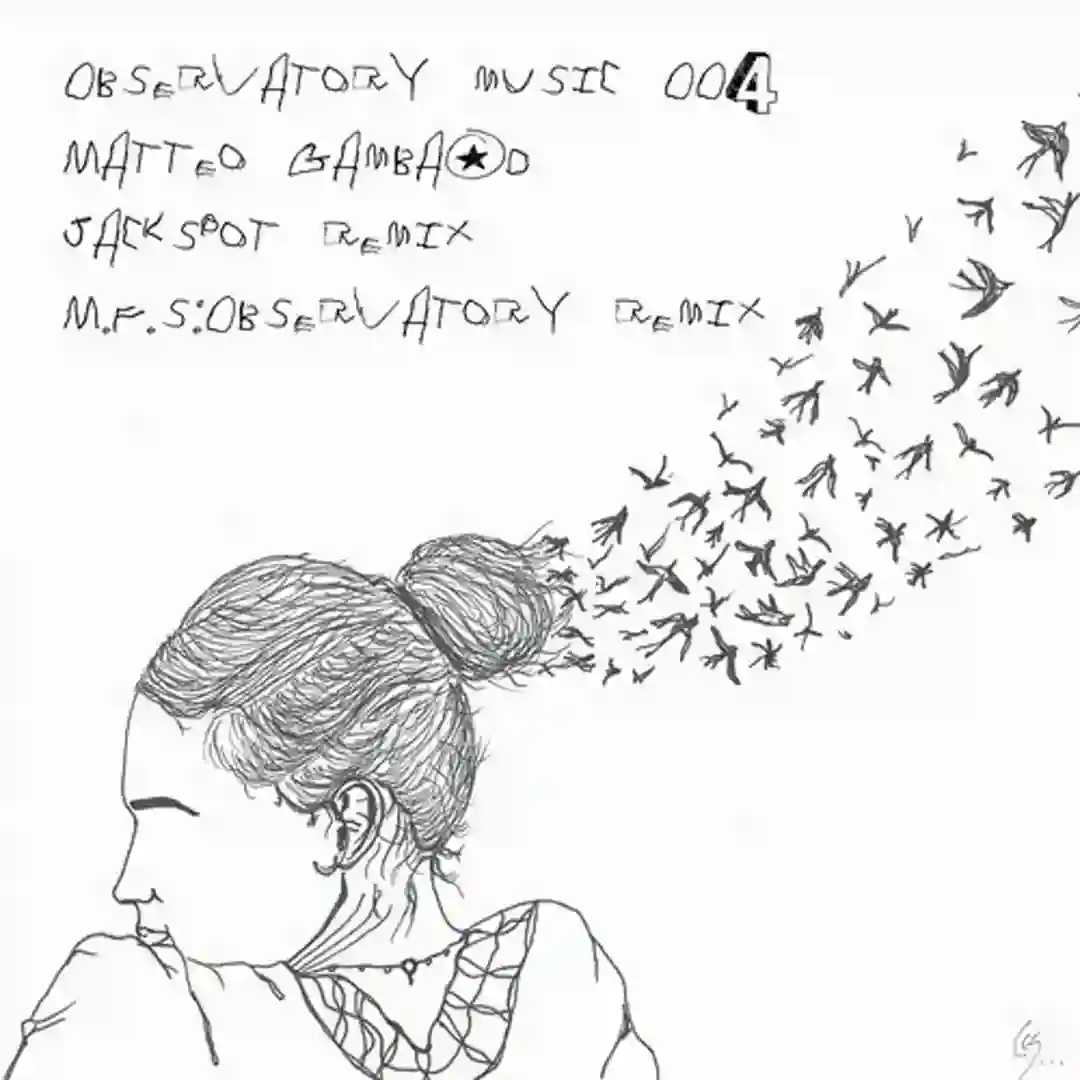D2 (M.F.S: Observatory Remix) cover