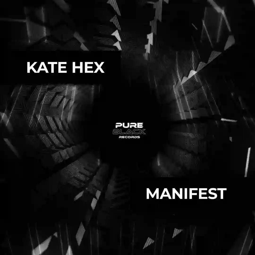 Manifest (Original Mix) cover