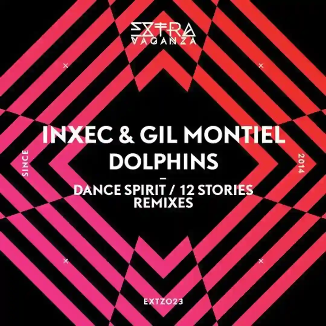 Dolphins (Dance Spirit Hyperspace Remix) cover
