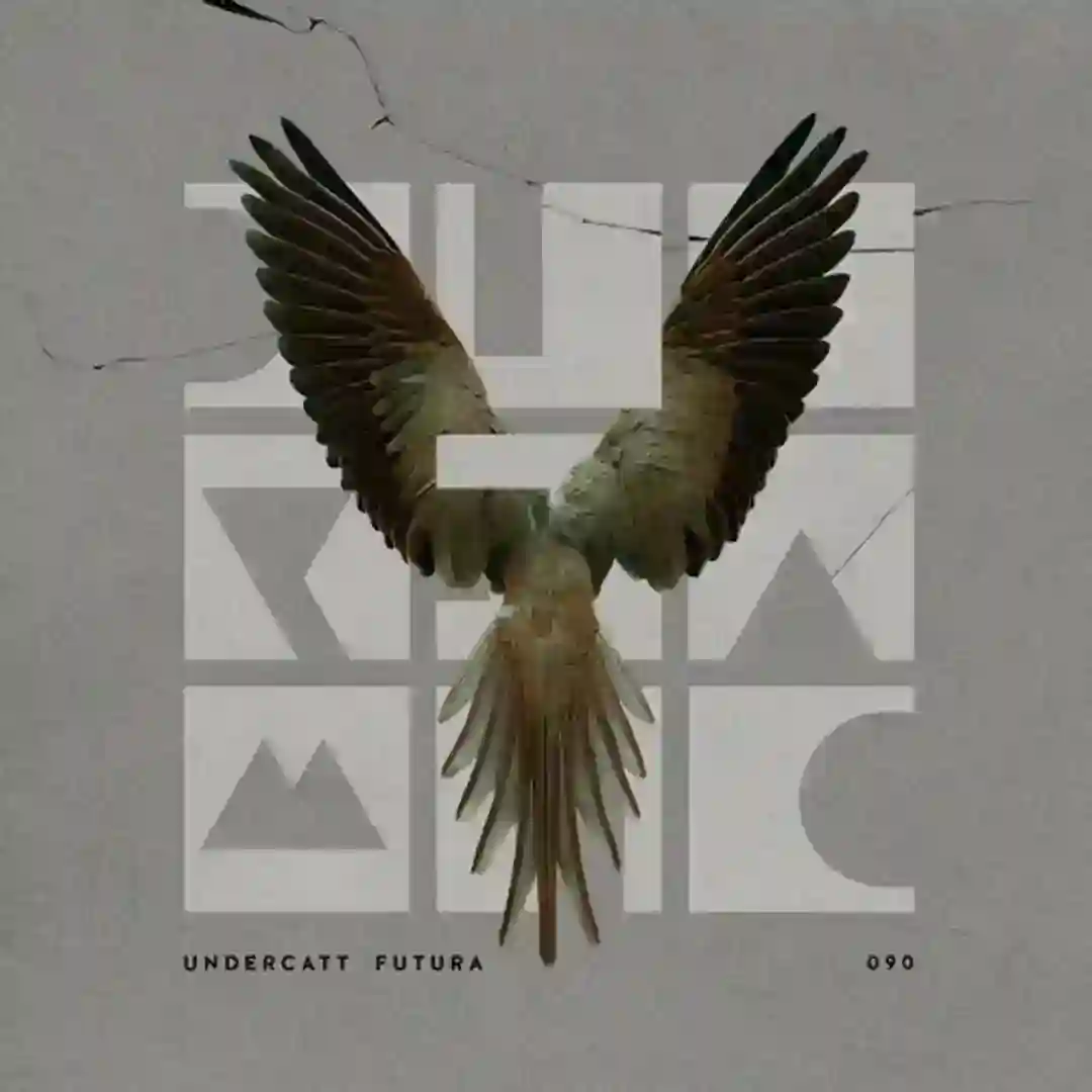 Parade (Original Mix) cover