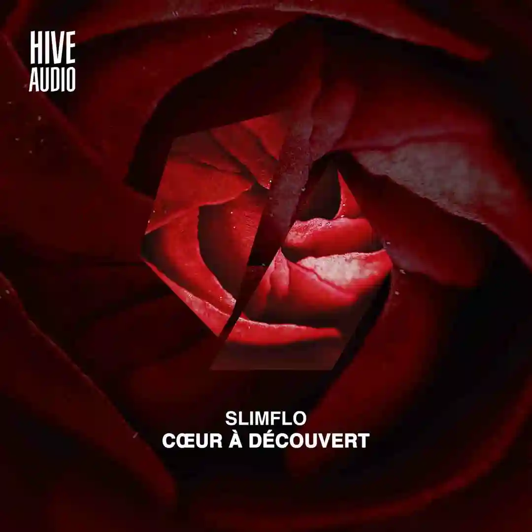 Cœur à découvert (Extended Mix) cover
