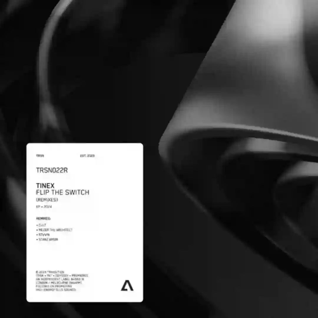 Rock The Disko (Mezer The Architect Remix) cover