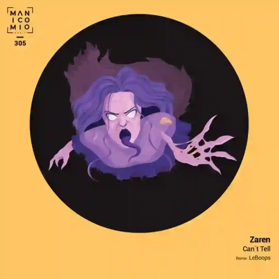 Can't Tell (LeBoops Remix) cover