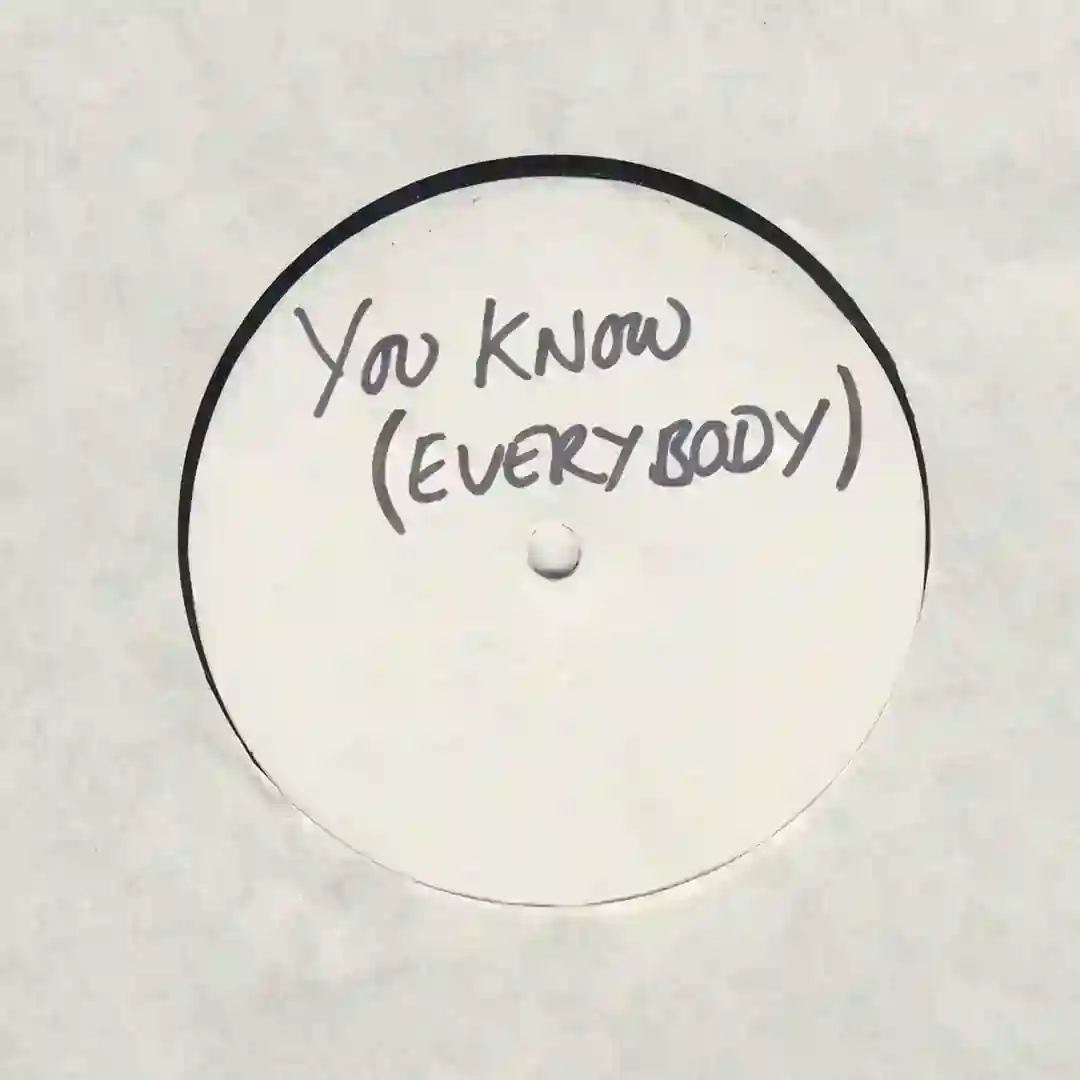 You Know (Everybody) (Original Mix) cover