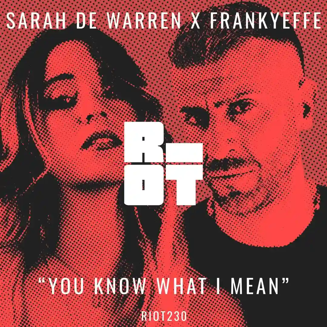 You Know What I Mean cover