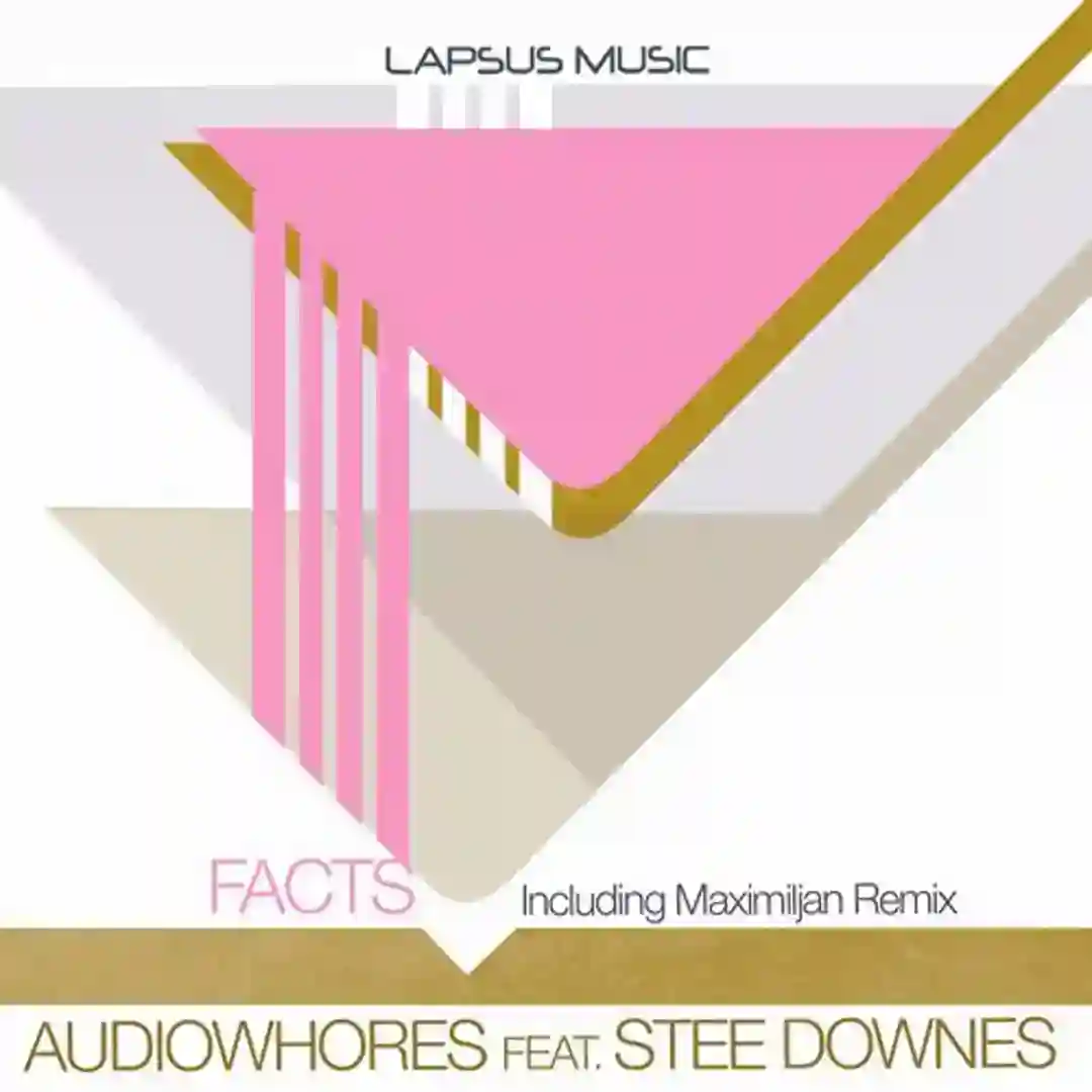 Facts (Maximiljan Dub Rework) cover