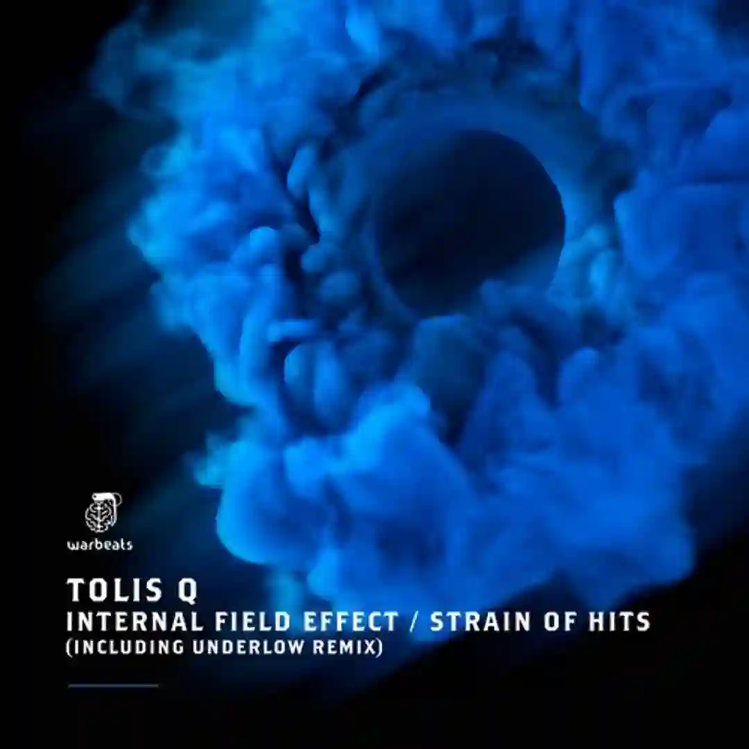 Internal Field Effect (Extended Mix) cover