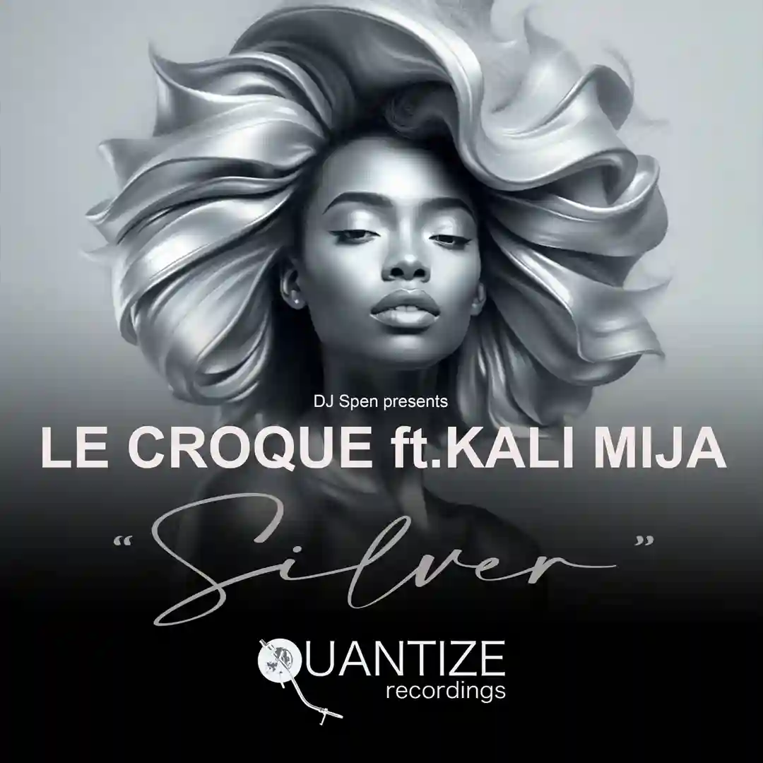 Silver feat. Kali Mija (Reelsoul & DJ Spen Instrumental Mix) cover