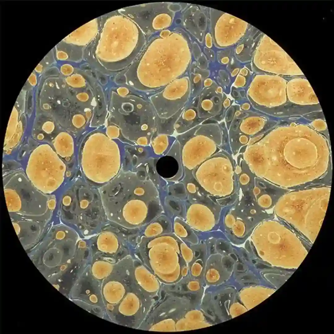 Violent Rays (Original Mix) cover